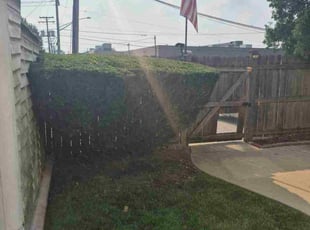 Bush Trimming by David Solomon for Steve M. in Niles, IL