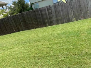 Scott W.'s Lawn Mowing service result