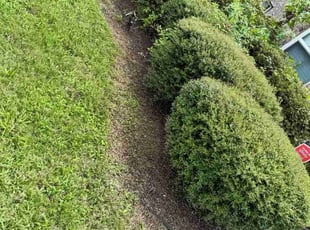 Weeding by Cornelius Smith for Carmen O. in Lawrenceville, GA