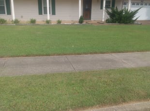 Joan A.'s Yard Cutting service result
