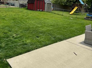 Kenneth G.'s Grass Cutting service result