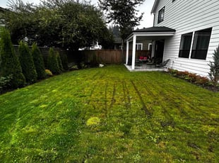 Ivy V.'s Lawn Mowing service result