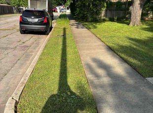 James J.'s Lawn Mowing service result