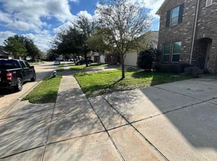 Antonio h.'s Grass Cutting service result