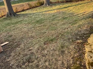 Leaf Removal by Omar Licea for Marc M. in Richton Park, IL