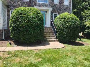 Bush Trimming by Brett Cameron for Kiersten C. in Midlothian, VA