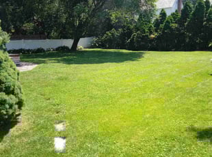 Danae J.'s Grass Cutting service result