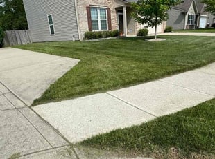 Clenord I.'s Lawn Mowing Service service result