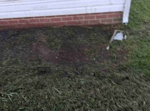 Weeding by Brandon Hughes for Kieyesa J. in Colonial Heights, VA