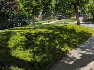 Laura F.'s Grass Cutting service result