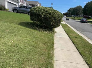 Bush Trimming by Ronald Martin for Mark A. in Charlotte, NC