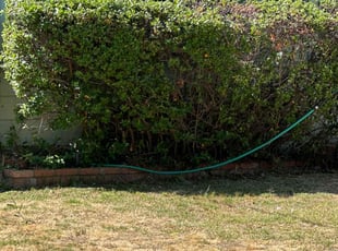 Bush Trimming by Tracy Spencer for Aerin K. in Rancho Cordova, CA