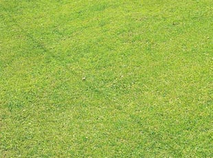 Randy L.'s Lawn Service service result