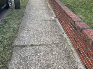 Sheila H.'s Lawn Service service result