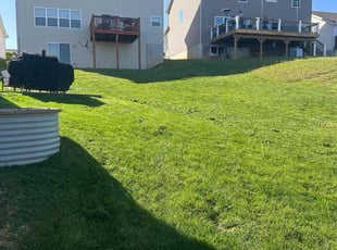 Matt B.'s Lawn Mowing service result