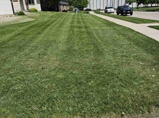 Peter B.'s Lawn Care service result