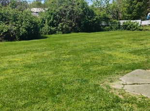 Ken D.'s Grass Cutting service result
