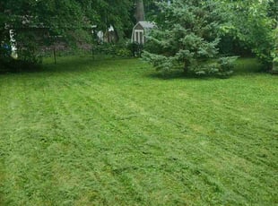 Mickey S.'s Lawn Mowing service result