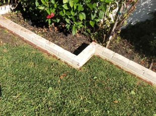Weeding by Ross Johnson for Ben S. in Burbank, CA