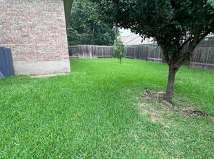 Xihong Y.'s Grass Cutting service result