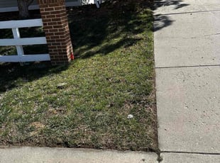 Olu O.'s Lawn Care service result
