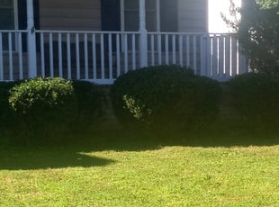 Bush Trimming by Terrill Williams for Crystal A. in Newport News, VA