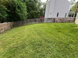 Carla F.'s Lawn Service service result