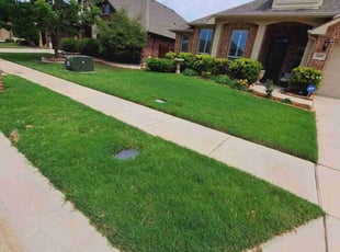 Erika J.'s Lawn Service service result