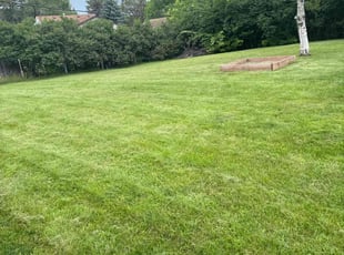 Lisa S.'s Lawn Mowing service result
