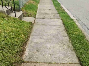 Rakesh B.'s Lawn Service service result
