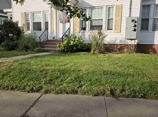 Brigit S.'s Lawn Service service result