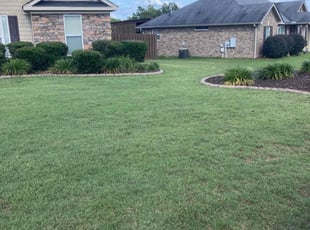 Damon T.'s Lawn Care service result