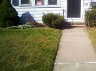Sean H.'s Lawn Care service result