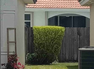 Bush Trimming by John Hernandez for ELIZABETH F. in Miami, FL