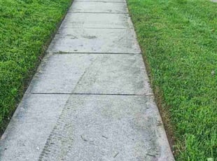 Betty C.'s Lawn Care service result