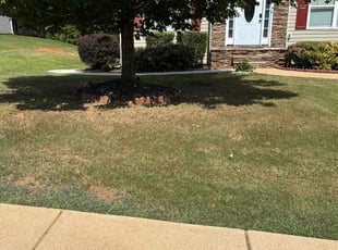 Bush Trimming by Roy Reddick for Tatiana K. in Dallas, GA