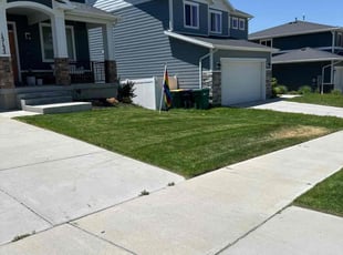 Lee M.'s Lawn Mowing service result