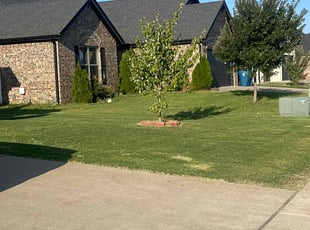 Cody S.'s Lawn Care service result