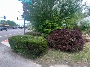 Bush Trimming by Marquis Reid for Mary M. in Florissant, MO