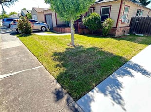 Stephanie l.'s Lawn Care service result