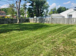 Krystal S.'s Lawn Maintenance service result