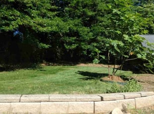 Anthony C.'s Lawn Care service result