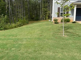 Jamar F.'s Lawn Maintenance service result