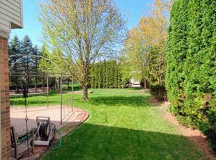 Aijaz D.'s Grass Cutting service result