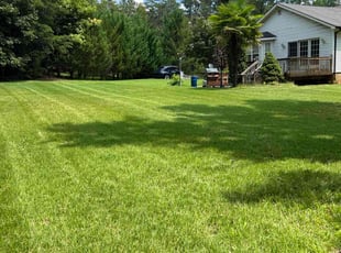 Michael t.'s Grass Cutting service result