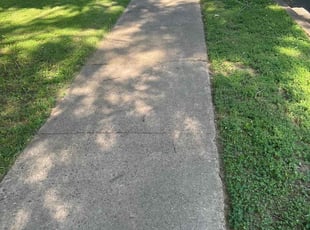 Weeding by Trapper Ellis for Shoshanah W. in Memphis, TN