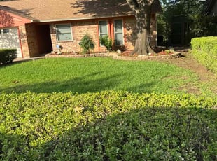 Leaf Removal by Brennen Dikes for Dennis O. in Arlington, TX