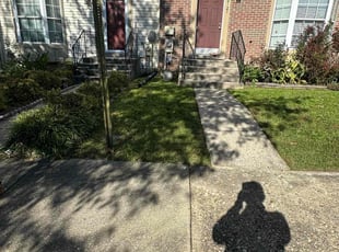 Anthony B.'s Lawn Service service result