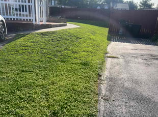 Danie D.'s Lawn Care service result