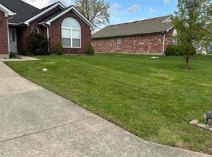 Christa C.'s Lawn Care service result